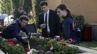 Episode 20 The Pinocchio in the Planter
