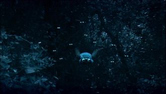 Episode 18 A Bee's Night Out