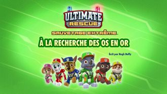 Episode 43 Ultimate Rescue: Pups and the Hidden Golden Bones