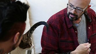 Episode 12 Cats in Isolation