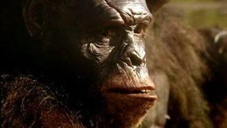 Episode 1 First Ancestors