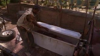 Episode 7 Fish Story