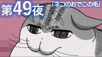 Episode 49 Night 49: The Fur on a Cat's Forehead