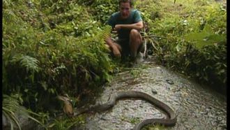 Episode 7 Indonesia: Six Days to the Dragon