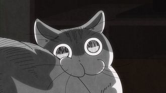 Episode 25 Night 25: Trying to Make the Cat Look Back
