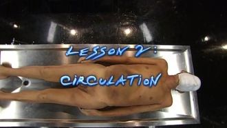 Episode 2 Circulation