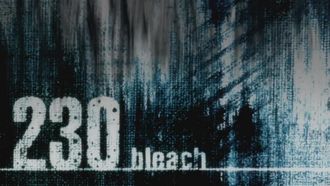 Episode 230 A New Enemy! The Materialization of Zanpakuto