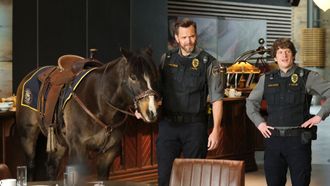 Episode 12 Unicorns and Mountain Lions