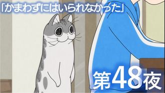 Episode 48 Night 48: I Couldn't Resist Giving Him Attention