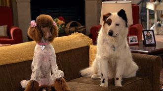 Episode 4 Stan Falls in Love