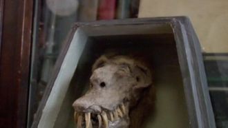 Episode 6 Mummy's Private Collection