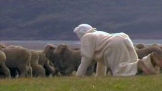 Episode 7 New Zealand