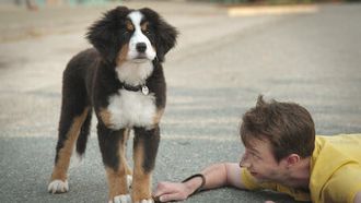 Episode 3 Superpups, Superheroes