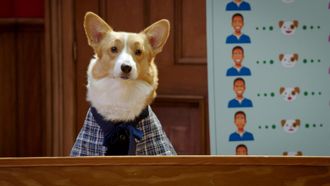 Episode 3 Tell Us About Your Human Day