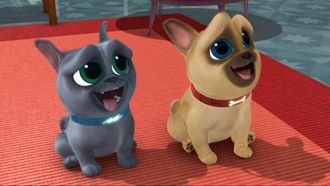 Episode 26 The Coolest Dogs In Town