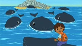 Episode 4 Diego Saves Baby Humpback Whale