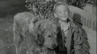 Episode 7 A Dog for Harold