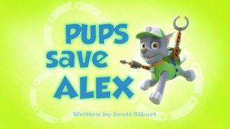 Episode 22 Pups Save the Camping Trip/Pups and the Trouble with Turtles