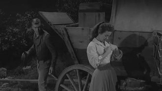 Episode 28 The Sally Potter Story