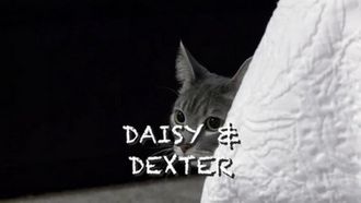 Episode 4 Stalking Miss Daisy