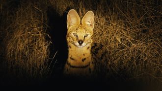 Episode 5 South Africa