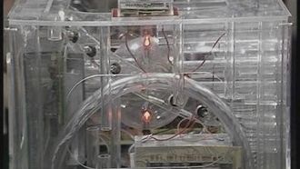 Episode 13 Orac
