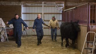 Episode 9 The Upper Hoof