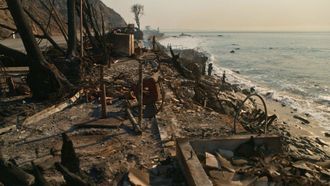 Episode 18 The Fires; The FBI Director; The Gaza Policy