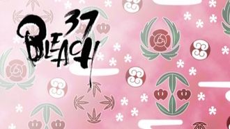 Episode 37 Ken no riyû