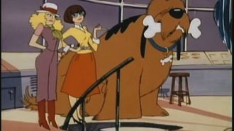 Episode 6 Foggy Doggy