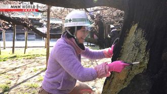 Episode 6 Tree Surgeon - Goto Mizuho