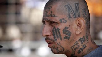 Episode 9 MS-13
