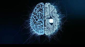 Episode 104 NOVA Wonders: Can We Build a Brain?
