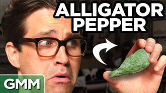 Episode 31 International Spice Taste Test