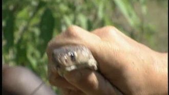 Episode 2 India: Riding the Cobra Express