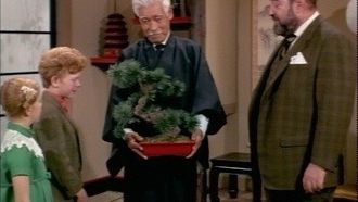 Episode 17 Mr. Osaki's Tree