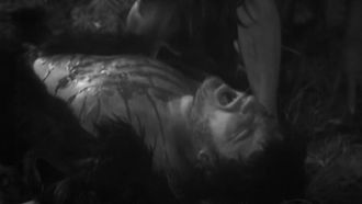 Episode 3 The Forest of Fear