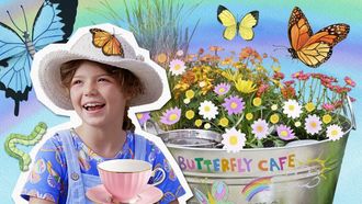 Episode 20 Butterfly Cafe