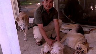 Episode 11 Troy and Roxie