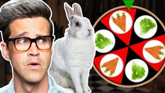 Episode 124 Can We Bet On What This Bunny Wants? (GAME)
