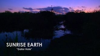 Episode 3 Gator Hole