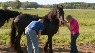 Episode 8 Foaly Moses!