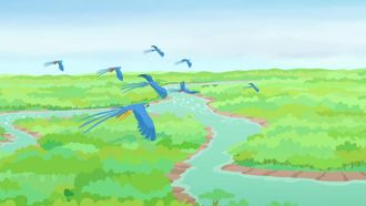 Episode 10 Wild Kratts: Amazin' Amazon Adventure