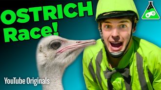 Episode 6 OSTRICH JOCKEYS?! (Final Fantasy XV)