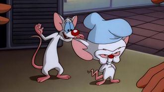 Episode 51 Brain Food