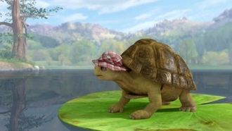 Episode 47 The Tale of the Great Tortoise Rescue