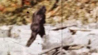 Episode 5 Bigfoot