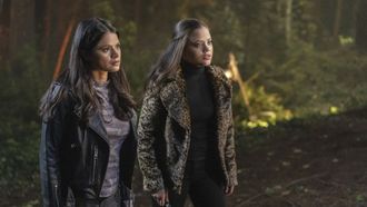 Episode 5 The Truth About Kat and Dogs