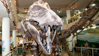 Episode 2 Feathered Dinosaurs