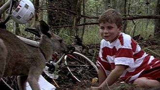 Episode 24 Skippy and the Vandals
